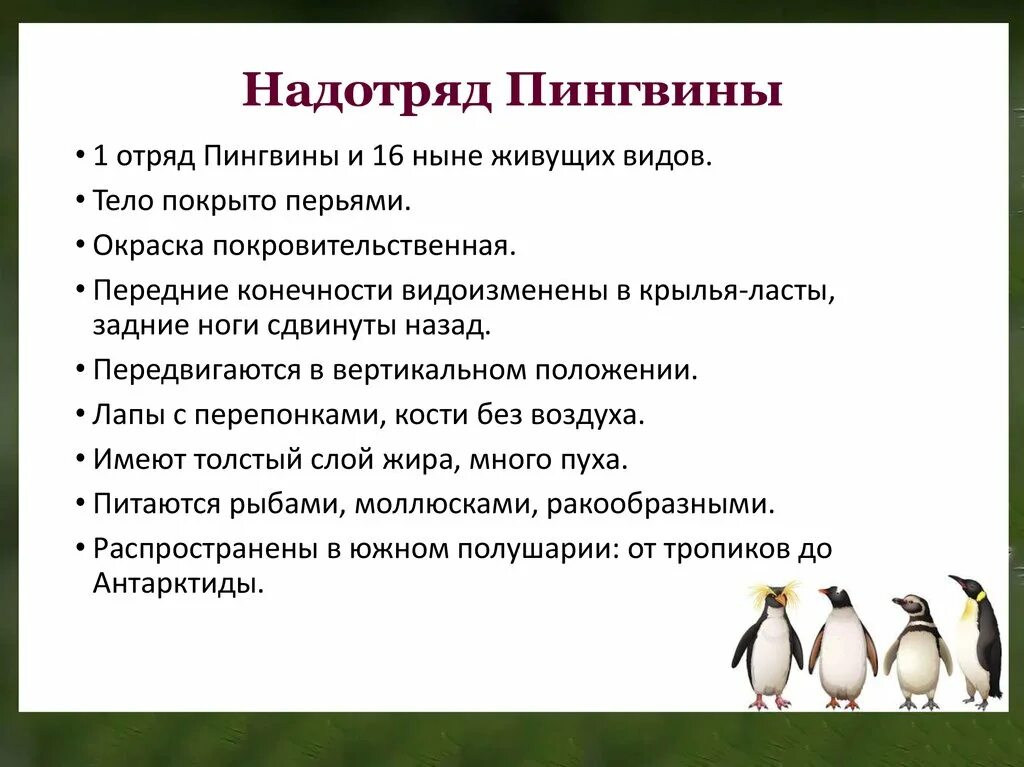 Сколько классов птиц. Отряд птицы 7 класс общая характеристика. Характеристика отряда пингвины таблица. Особенности пингвинов 7 класс биология таблица. Общая характеристика птиц 7 класс биология.