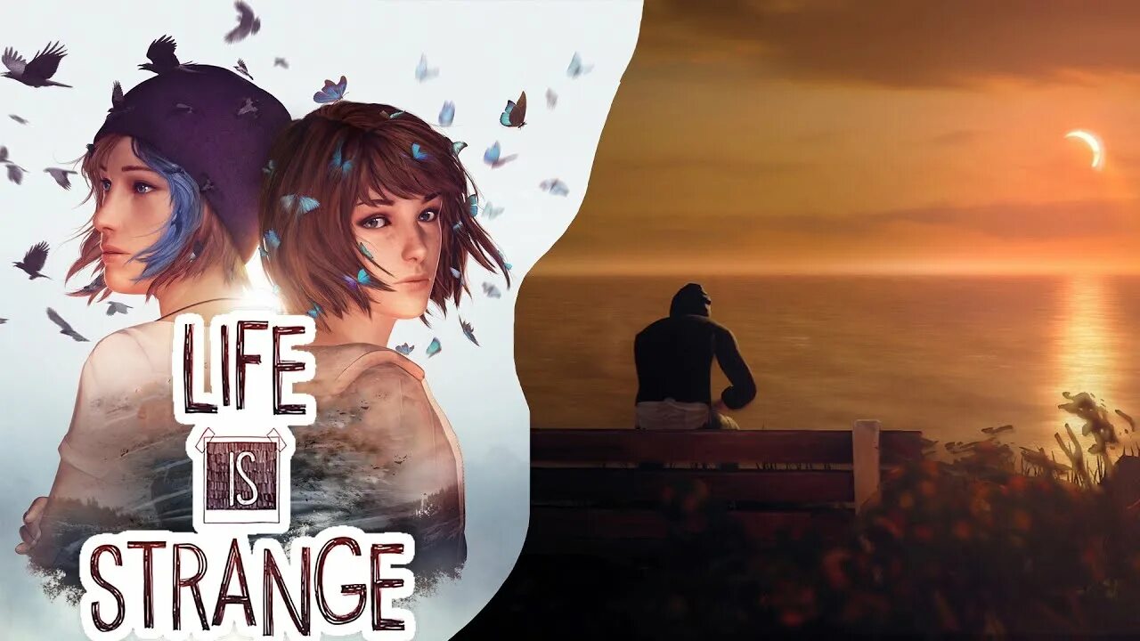 Кейт марш Life is Strange. Лайф из Стрейндж Кейт. Кейт марш Life is Strange Проявочная. Life is Strange Кейт косплей. Life is strange кейт