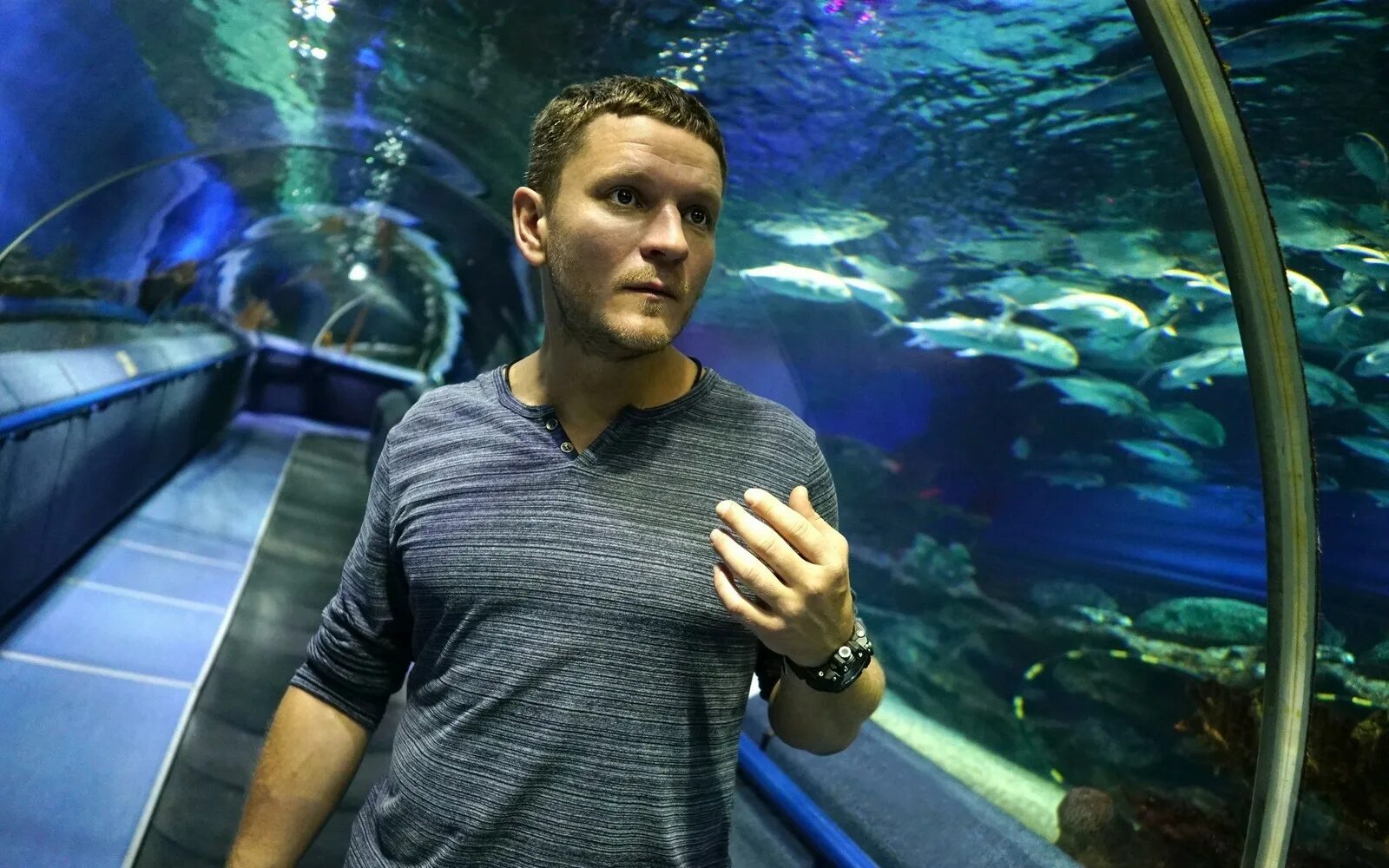 Сериал дельфин 2022. Сериал дельфин нтв. Дельфин 3 дата выхода. Дельфин сериал продолжение 2. Сергей жарков дельфин.