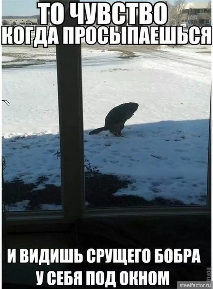 Знаменитости в неловких ситуациях женщины. Смешные картинки про жизнь. Просыпайся палатку спиздили. Встал увидев. Встал увидев.