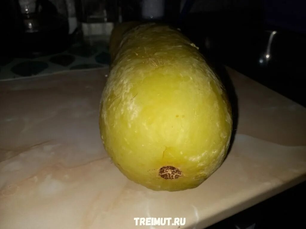 Шутки про кабачки. Что делать подмерзли кабачки. Кабачок замерз. Кабачок замерз. Канадский крукнек.