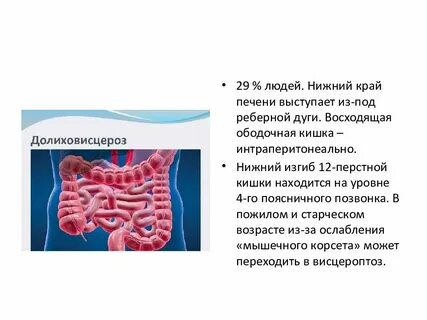 Печень пальпируется по краю реберной дуги
