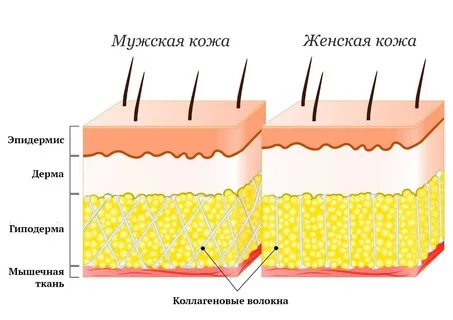 Почему кожа нормальная