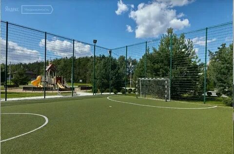Сосновый бор раменский