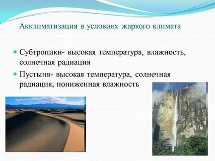 В силу климатических условий