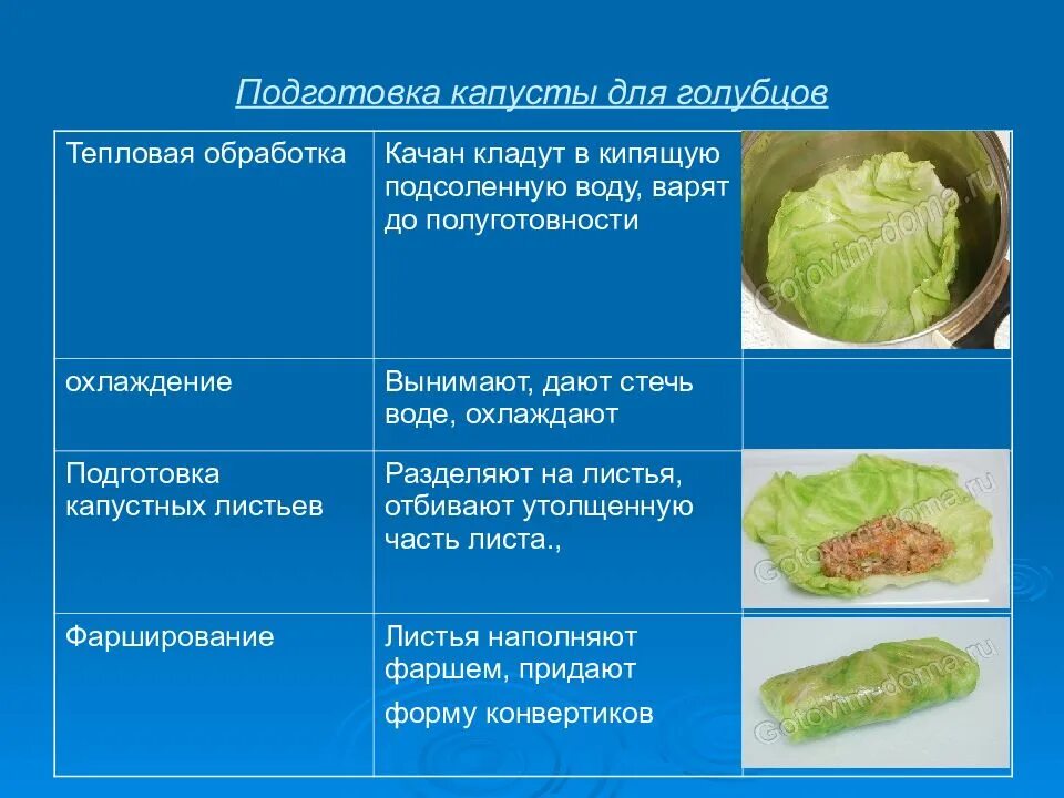 Обработка капустных овощей. Подготовка для фарширования овощей капусту для голубцов. Подготовка белокочанной капусты к фаршированию схема. Технологическая схема капусты для фарширования. Технологические схемы обработки овощей для фарширования.