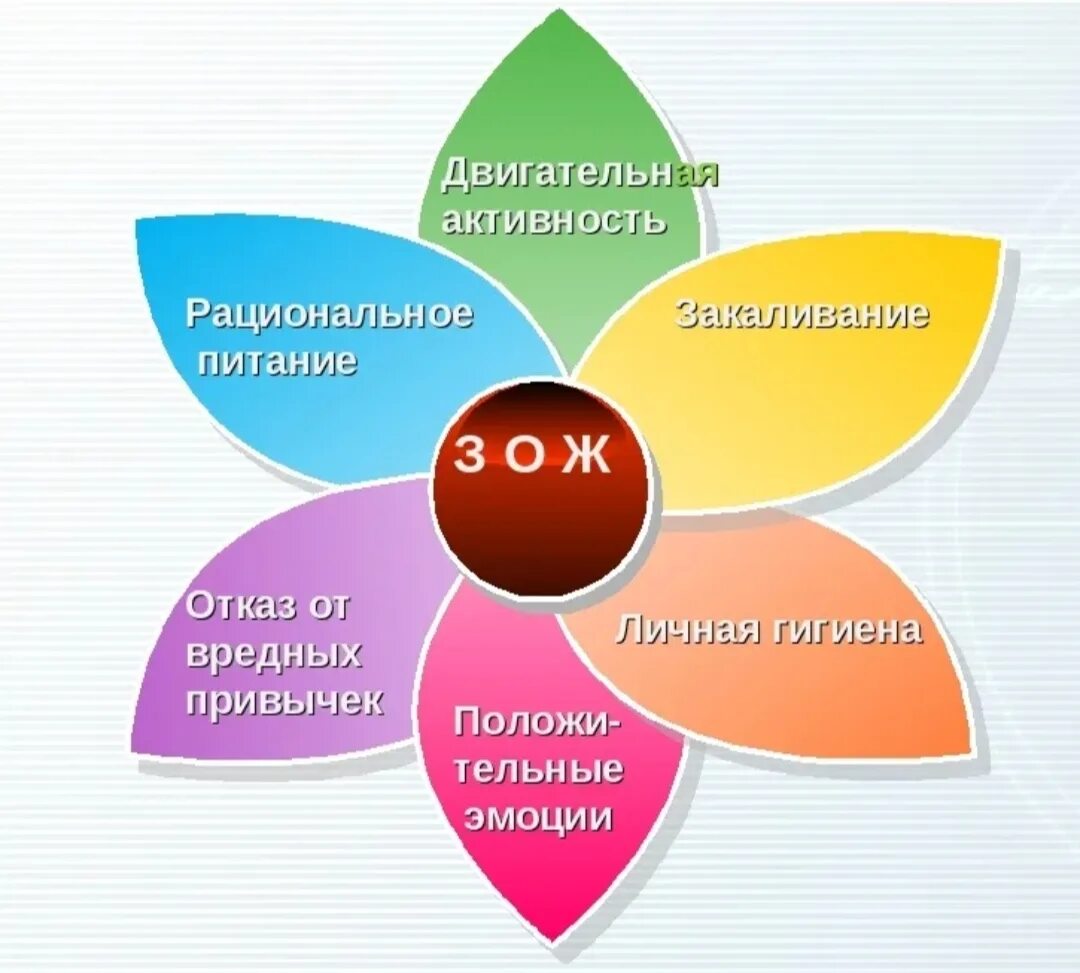 5 составляющих здоровья. Здоровый образ жизни. Концепция здорового образа жизни. Модель здорового образа жизни. Моднть здорового образа жизни.