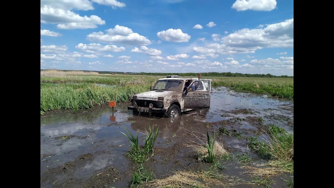 Рейд в курскую область. УАЗ трофи Курск. Нива болото. Нива для болот. Нива в болоте.