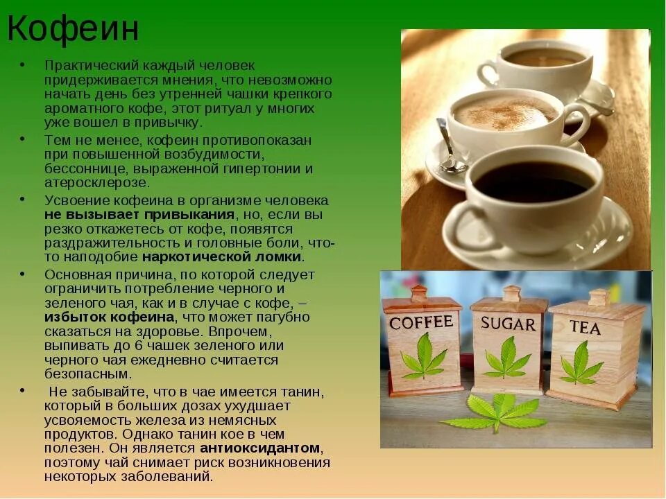 В каком чае мало кофеина. Кофеин в чае и кофе. кофеина больше в кофе или зеленом чае. содержится ли в чае кофеин. кофеина больше в чае или в кофе.