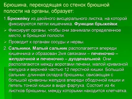 Полость провожать