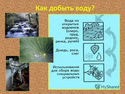 Водички найди