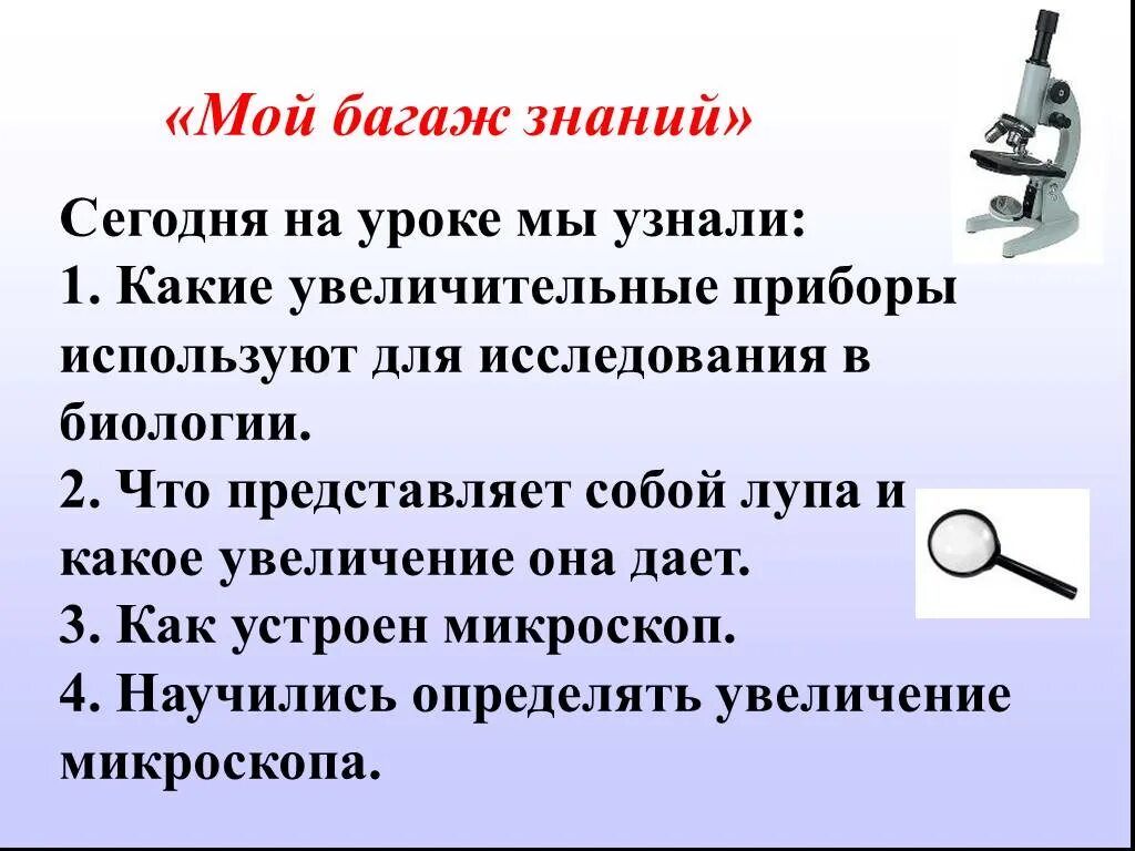 Какое увеличение дает данный микроскоп как узнать. Увеличительные приборы лупа биология. Биология 5 класс тема увеличительные приборы. Увеличительные приборы лупа 5 класс биология проект. Увеличительные приборы 5 класс биология микроскоп.