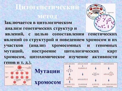 Цитологический метод