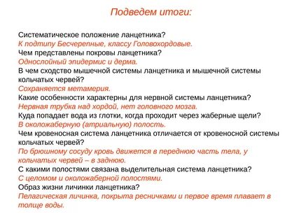 Строение покровов тела у ланцетников