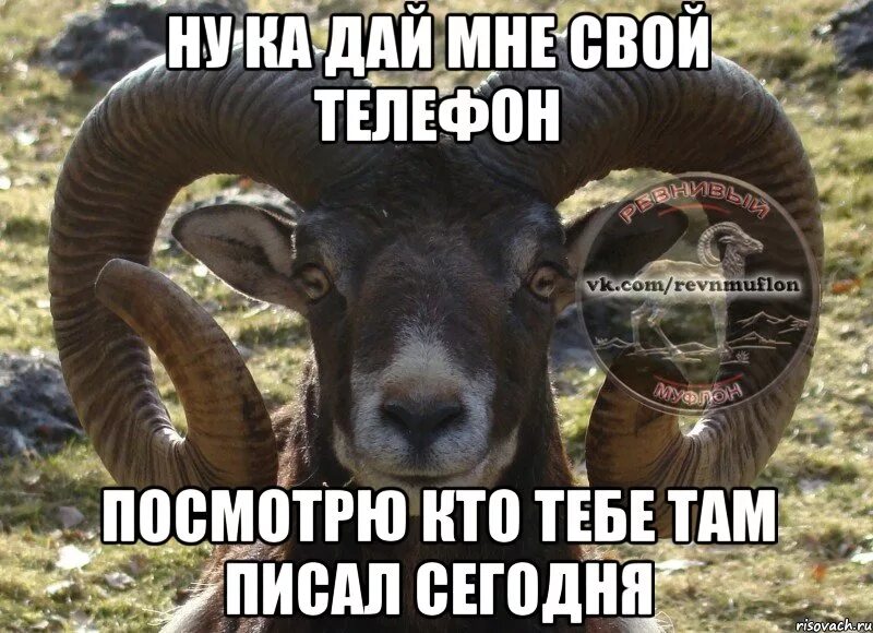 Там написано посмотри