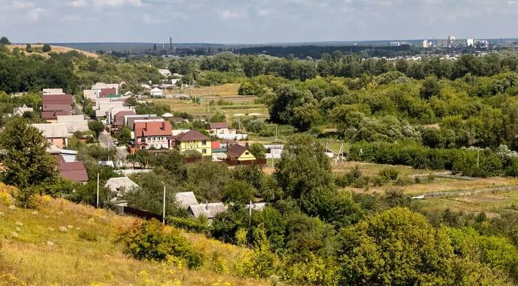 Новая таволжанка белгородской области шебекинского района