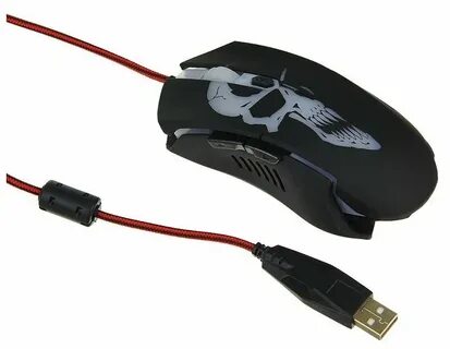 Qumo dragon