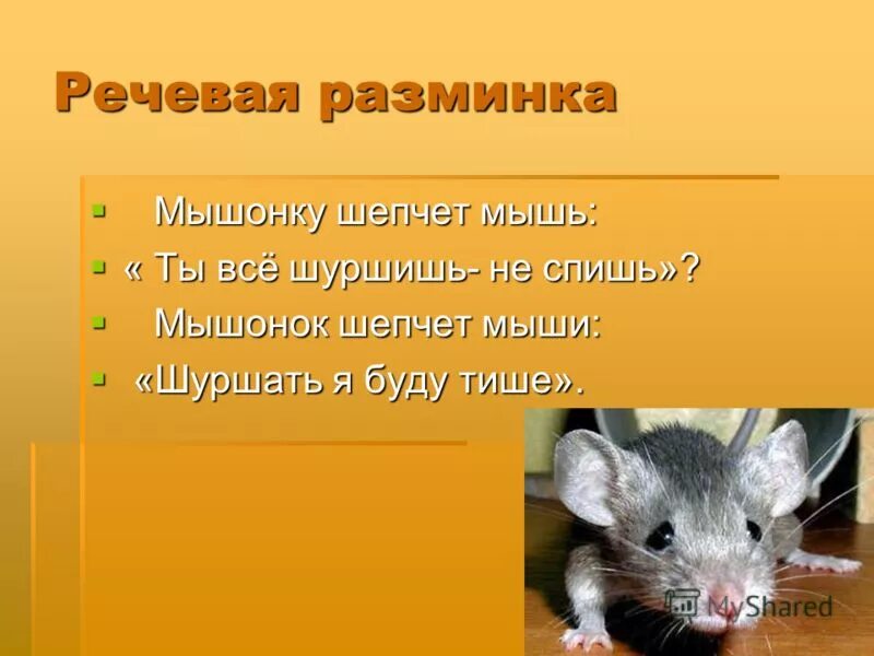 Мышь предложения. Предложение про мышку. Загадка про мышку. Загадка про мышь. Поговорки про мышей.