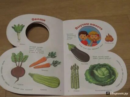 Книжка овощи своими руками