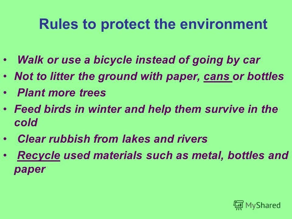 Much trees перевод