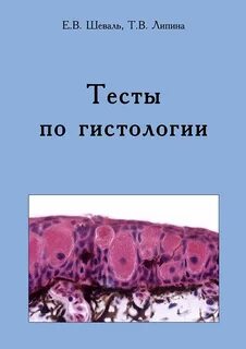 Тест по гистологии