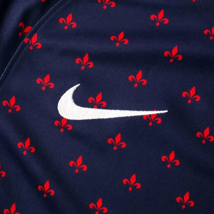 Футболка Nike PSG. Nike Paris Saint Germain. Зипка Nike PSG. Nike PSG задник. Найк париж