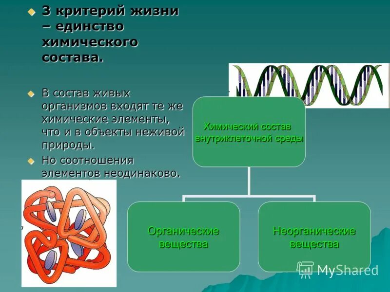 особенности химического состава организмов. химический состав живого. единство химического состава живой и неживой природы. элементы входящие в состав клеток организмов. химические клетки в живых организмах.