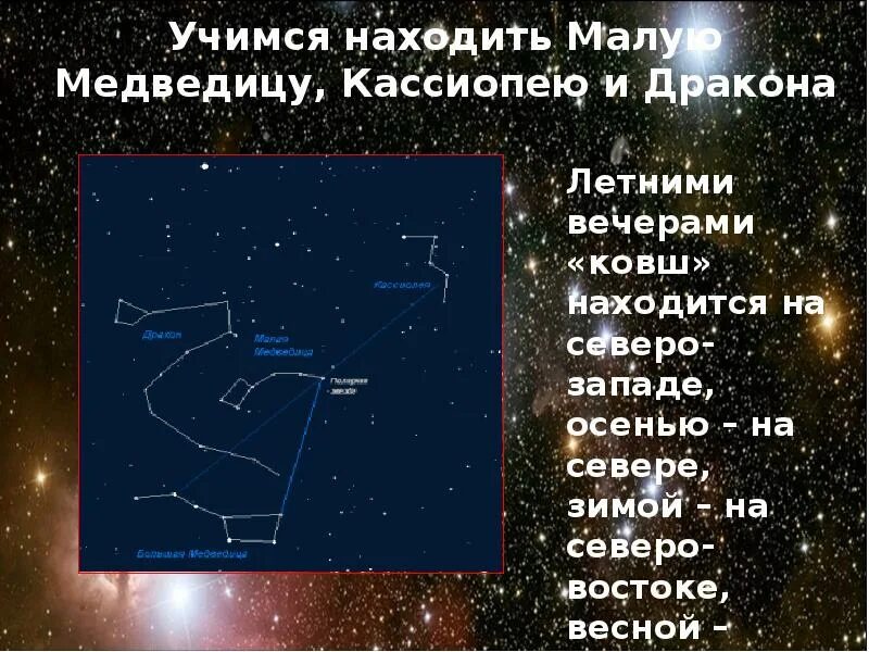 Как найти малую медведицу от большой. Кассиопея и малая медведица. найти малую медведицу. где расположена маленькая медведица. как искать малую медведицу.