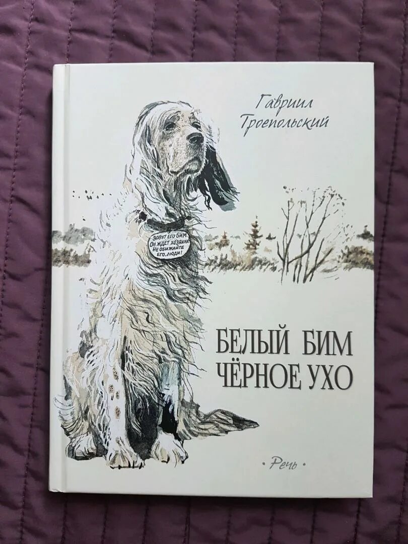 Произведение бим черное ухо. Белый Бим черное ухо иллюстрации из книги. Иллюстрации к повести белый Бим черное ухо. Троепольский белый Бим черное ухо иллюстрации.