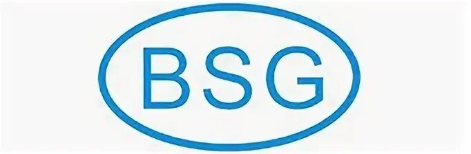 Компания bsg. Auto glass logo. Bsg фирма. Бсг логотип. Логотип bsg.