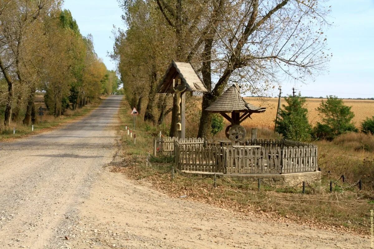 Куничи молдова. Кунича Молдова. Молдавия село. Калфа (Молдавия). Село Редены Молдова.