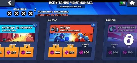 Голосовать чемпионат браво