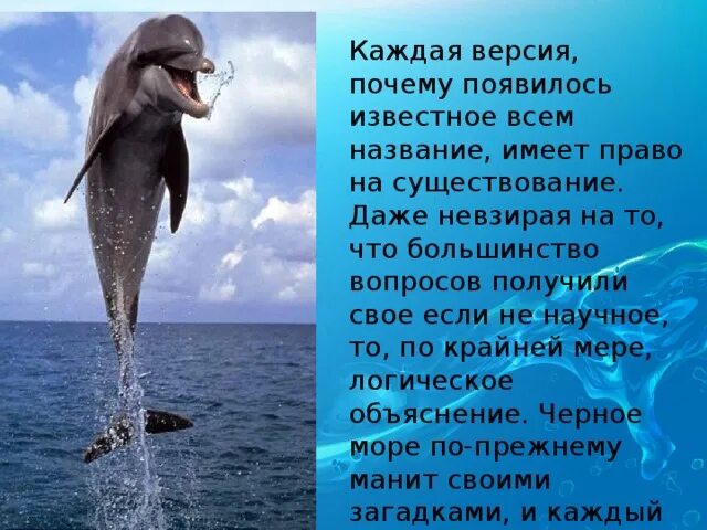Какие вопросы можно задать черному морю