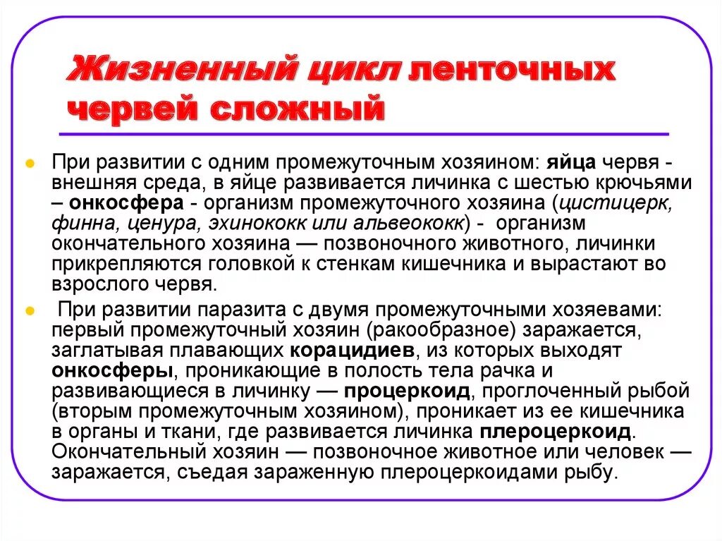 Жизненный цикл ленточных червей. Жизненном цикле ленточных червей?. Особенности циклов развития ленточных червей. Особенности жизненного цикла ленточных червей.