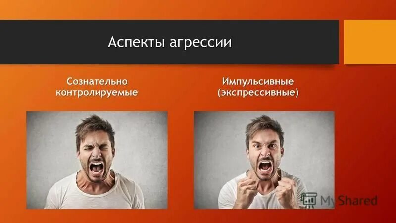 Агрессия причины последствия и контроль. Аспекты агрессии. экспрессивные аспекты. экспрессивная последствия. аспекты агрессии и гнева.