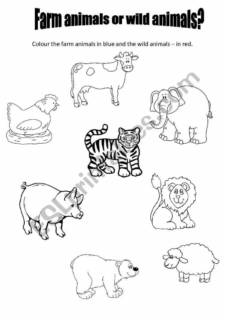 Wild animals as pets essay. Worksheets животные. Wild animals задания для детей. Животные Worksheets for Kids. Worksheets животные для дошкольников.