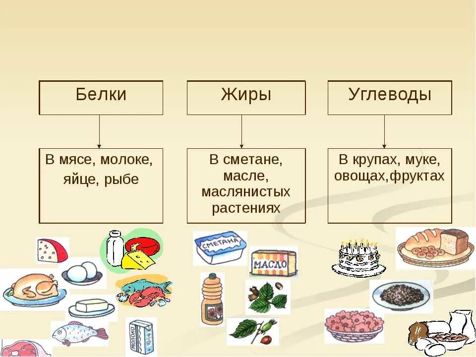Жиры и углеводы в каких продуктах содержится. Состав белков жиров и углеводов кратко. где содержатся белки жиры и углеводы. схема правильного питания белки жиры углеводы. примеры продуктов содержащих белки жиры и углеводы.