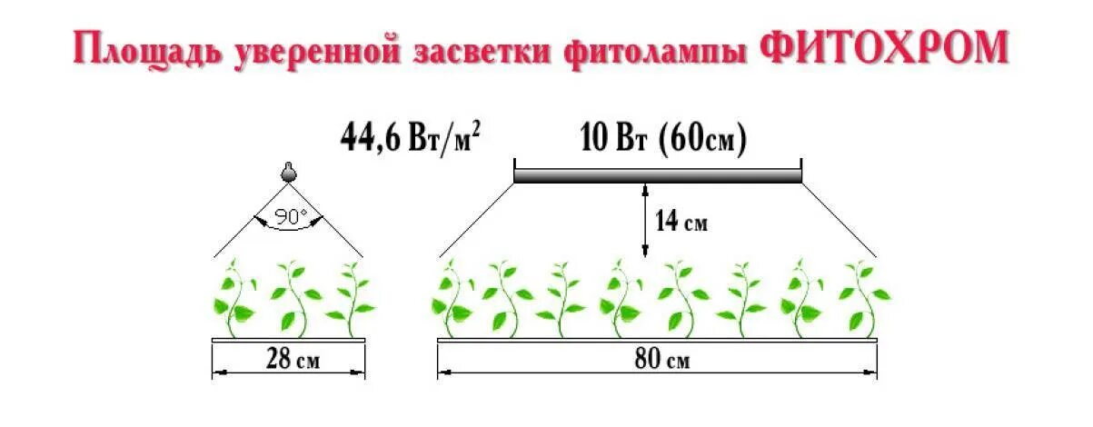 Сколько надо подсвечивать. Схема соединения светодиодных ламп для рассады. Высота лампы для растений. Фитолампа высота над растением. Фитолампа для рассады.