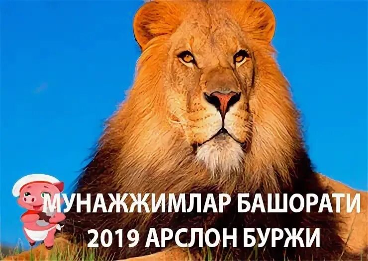 Мунажжимлар башорати 2023 йил 8 май. Мунажжимлар башорати 2024 бугун. Мунажжимлар башорати. Мунажжимлар башорати. Мунажжимлар башорати.