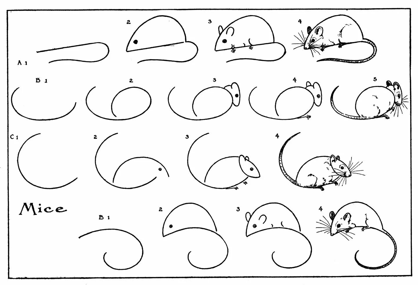Как легко нарисовать мышку. Простые рисунки для начинающих. Простые поэтапные рисунки. Мышка поэтапное рисование для детей. Рисуем мышку поэтапно для детей.