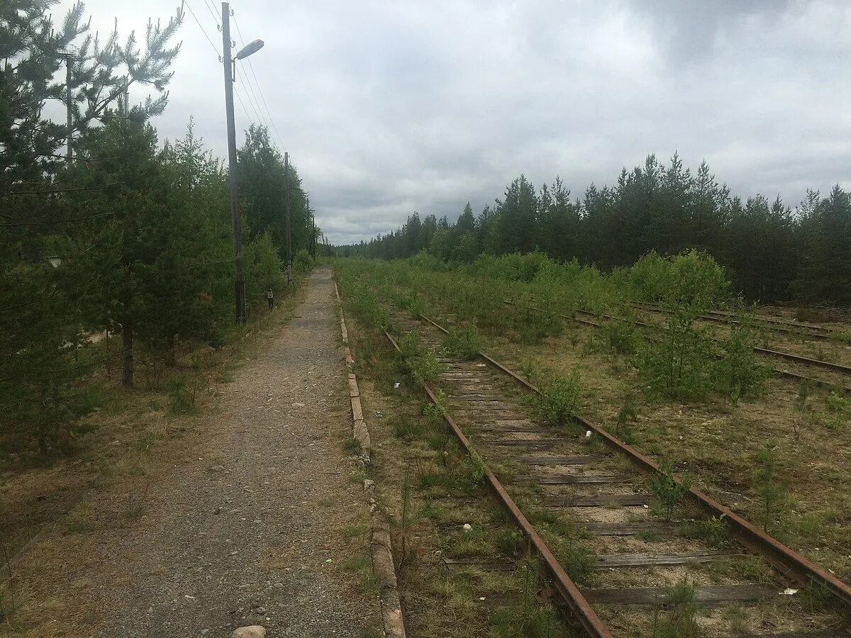 Железнодорожная станция боровая. Станция берещино нижегородская область. Эр2т 7196. Юшкозеро карелия. Станция боровая карелия.