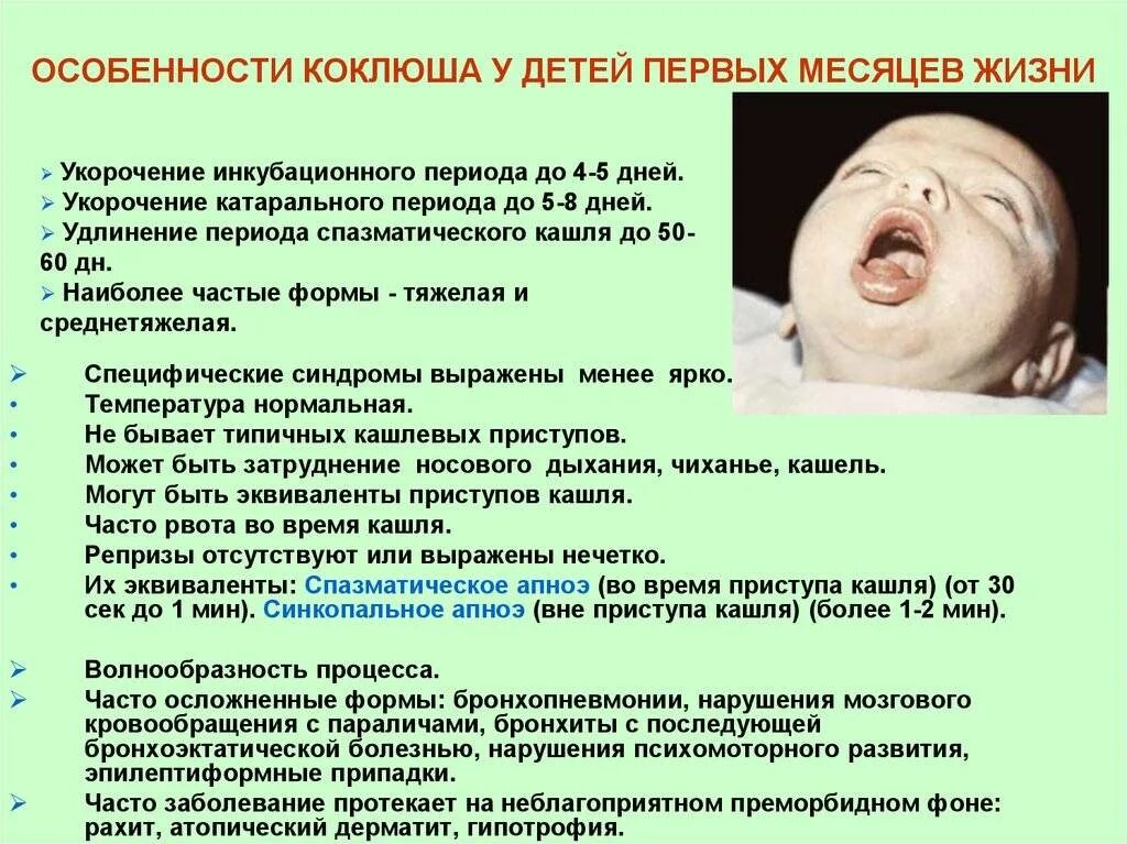 Как лечить коклюш. Характерные клинические проявления коклюша. типичные симптомы коклюша. коклюш симптомы клинические проявления. коклюш у детей клинические проявления.