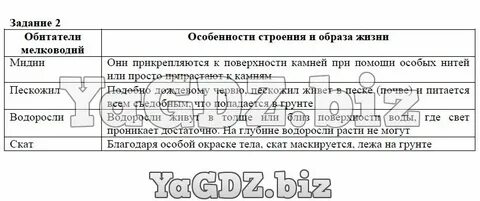 Какие особенности строение и образа жизни
