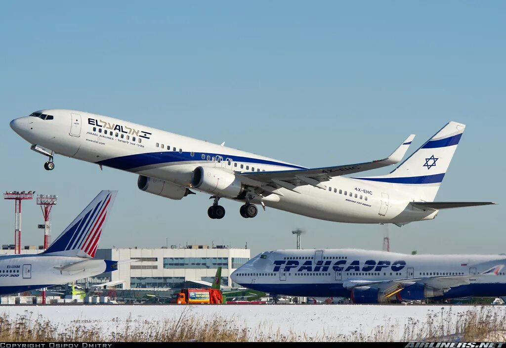 El al israel. Боинг 737 el al. Самолёт el al Боинг 737. Boeing 737-958. Боинг 737-900 израильские авиалинии.