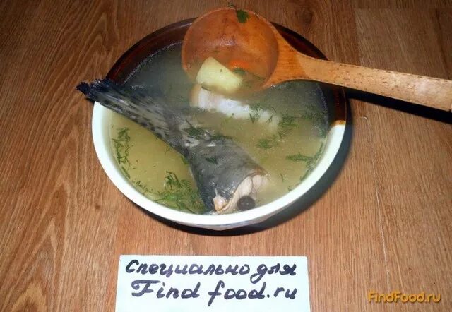 уха поиск видео