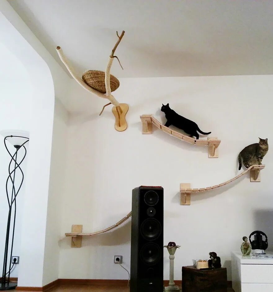 Дизайнерские комплексы для кошек. Комната для кошек. Домики лазалки для кошек. Дизайнерские игровые комплексы для кошек. Развлечения для кошек