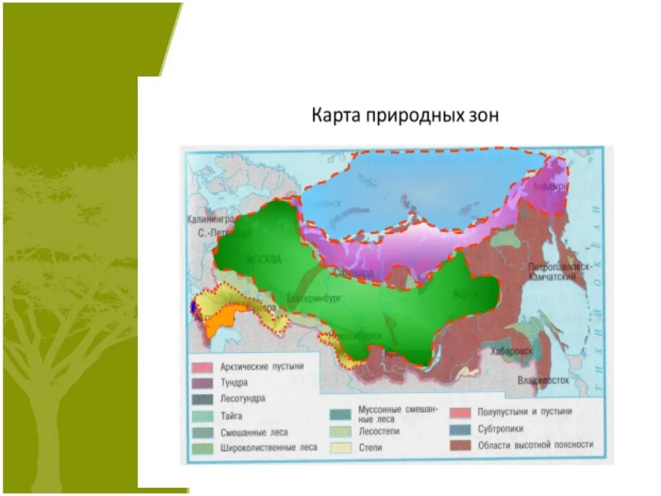 Природные зоны отмеченные на карте. Субтропики России на карте природных зон России. Субтропические леса на карте природных зон России. Карта природных зон зон. Карта карта природных зон.