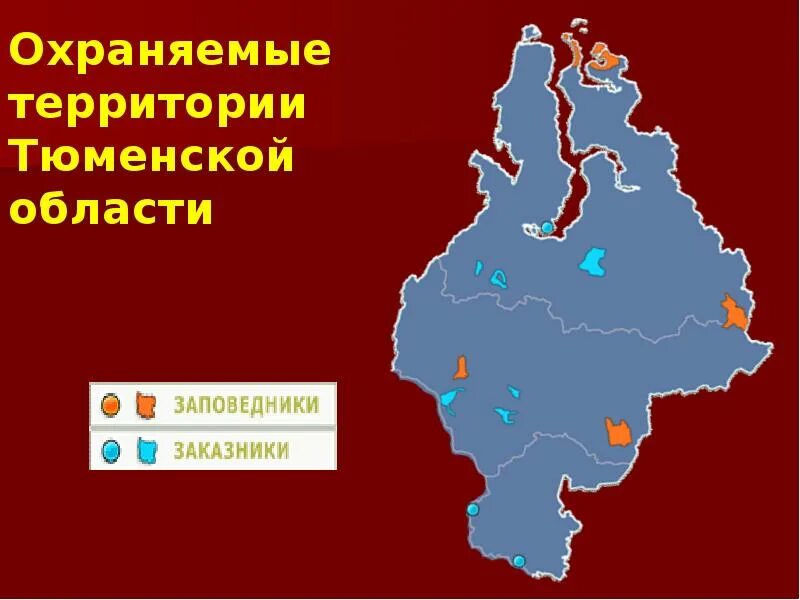 Тюменская область центр. Территория тюмень область. Территория тюмени. Территория тюмень область. Территория тюмень область.