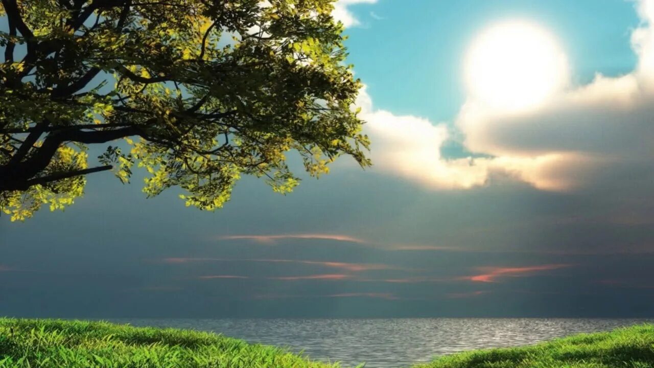 Beautiful relaxing