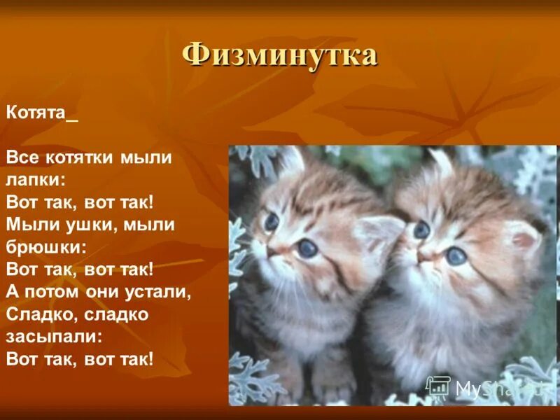 Загадки про котенка для 1 класса. Физминутка котята. Загадка про котенка. Физкультминутка котятки. Стихи про котят.